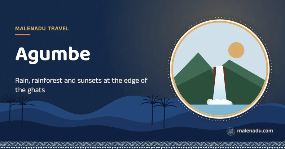 Agumbe: Rain, rainforest and sunsets at the edge of the ghats, an illustration by malenadu