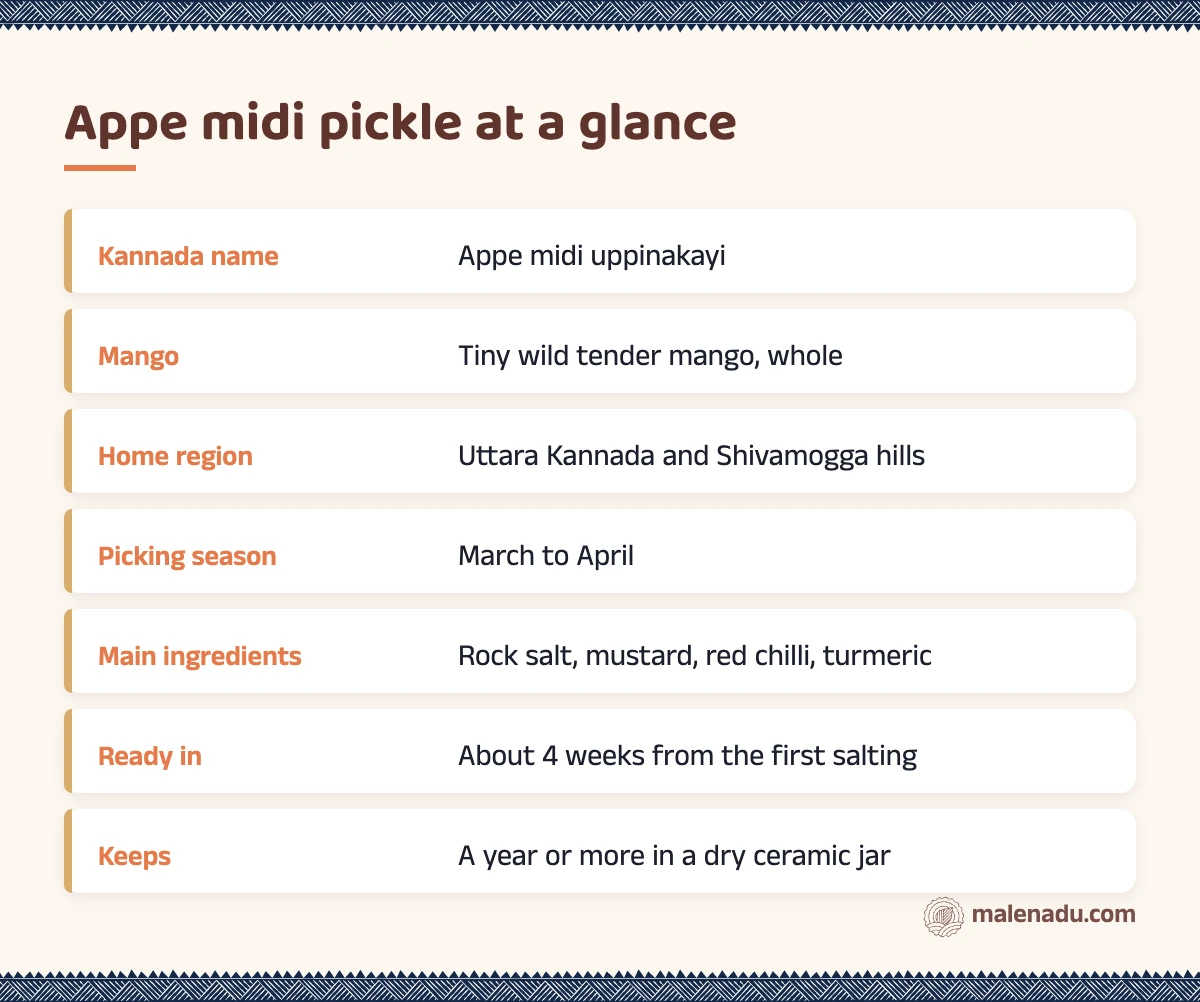 Appe midi pickle at a glance: an illustrated summary card by malenadu