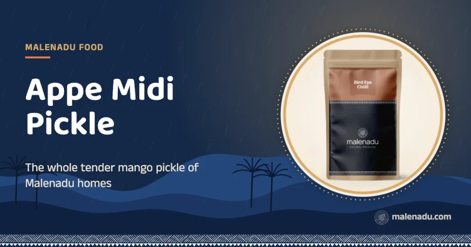 Appe midi pickle: The whole tender mango pickle of Malenadu homes, an illustration by malenadu