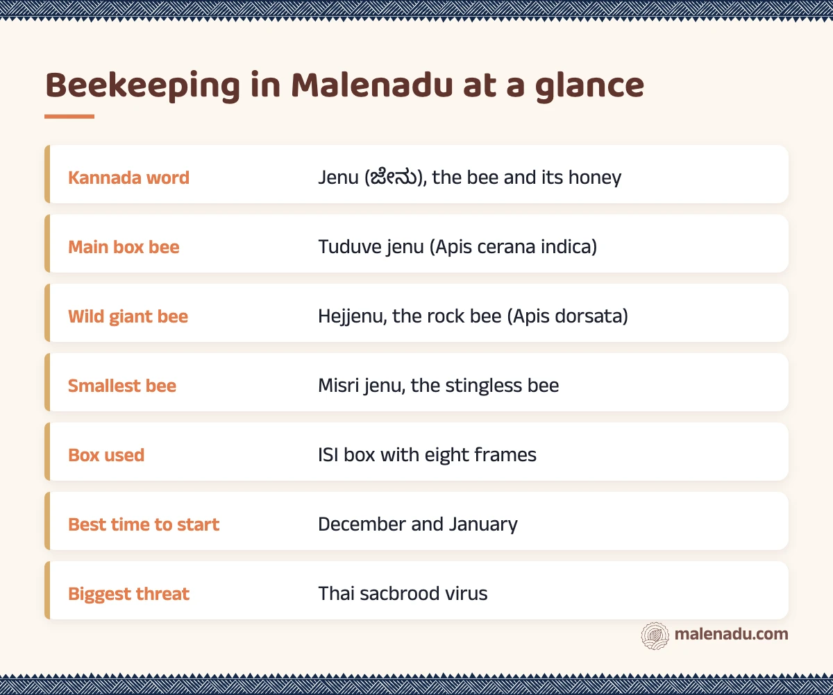 Beekeeping in Malenadu at a glance: an illustrated summary card by malenadu