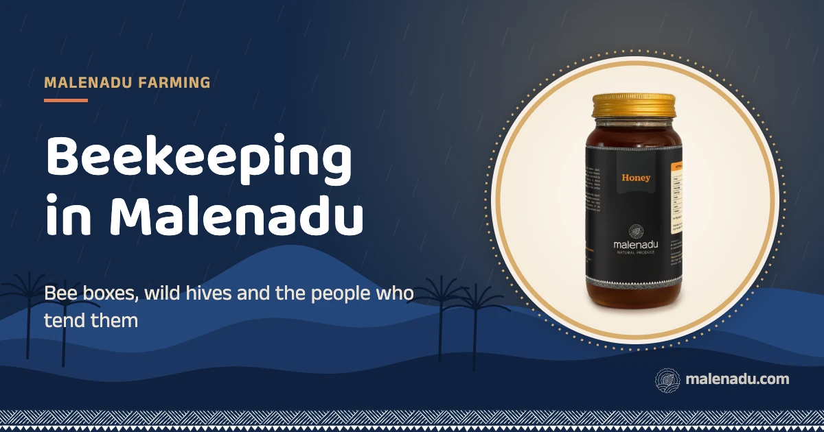 Beekeeping in malenadu: Bee boxes, wild hives and the people who tend them, an illustration by malenadu