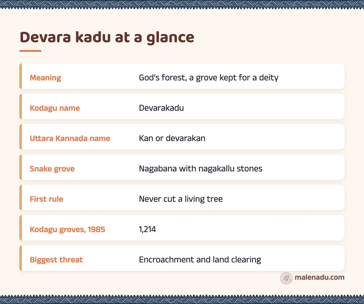 Devara kadu at a glance: an illustrated summary card by malenadu