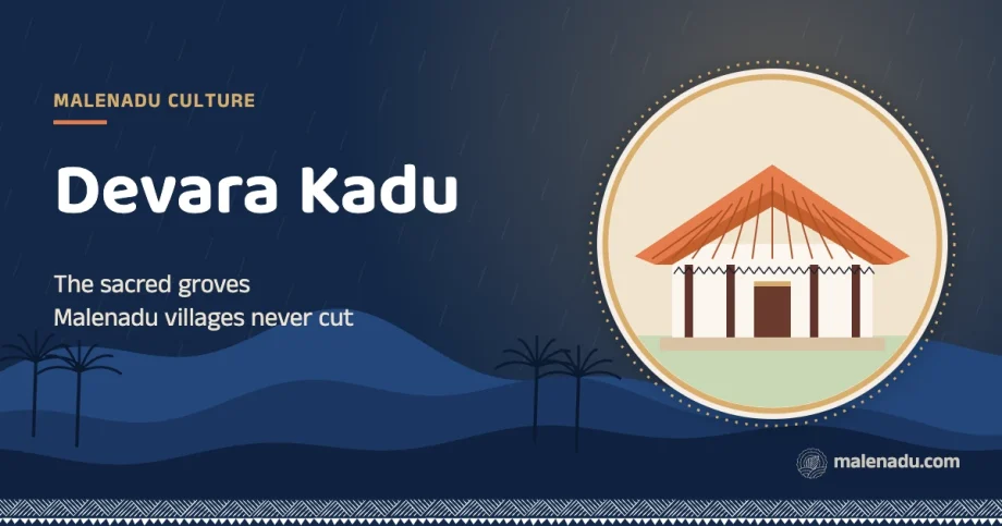 Devara kadu: The sacred groves Malenadu villages never cut, an illustration by malenadu