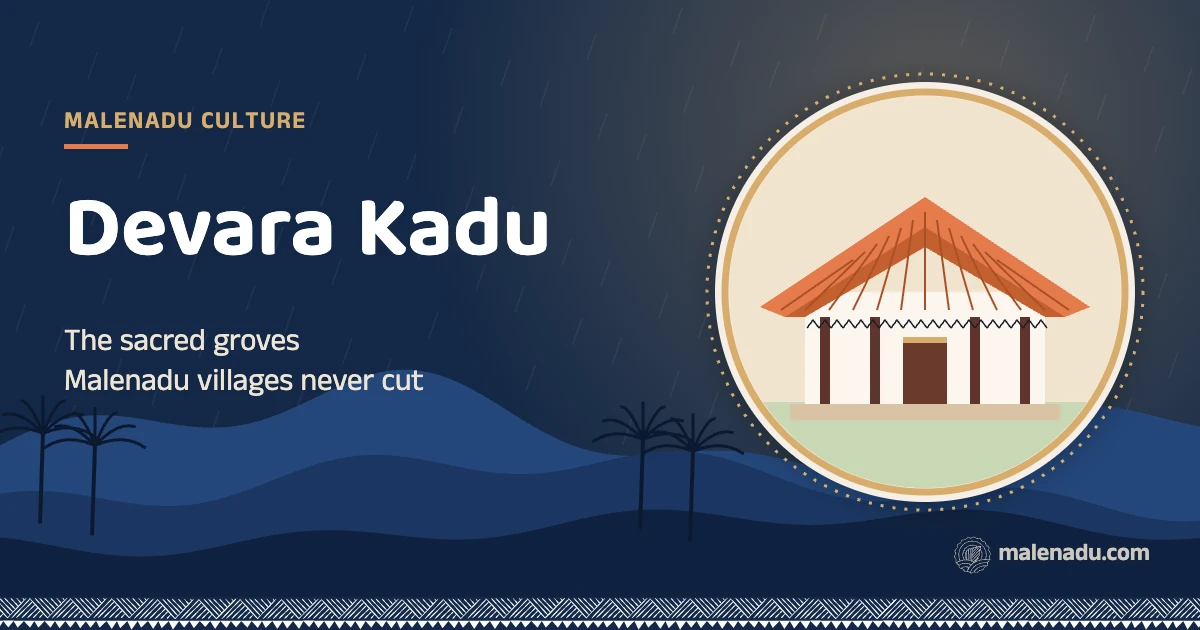 Devara kadu: The sacred groves Malenadu villages never cut, an illustration by malenadu