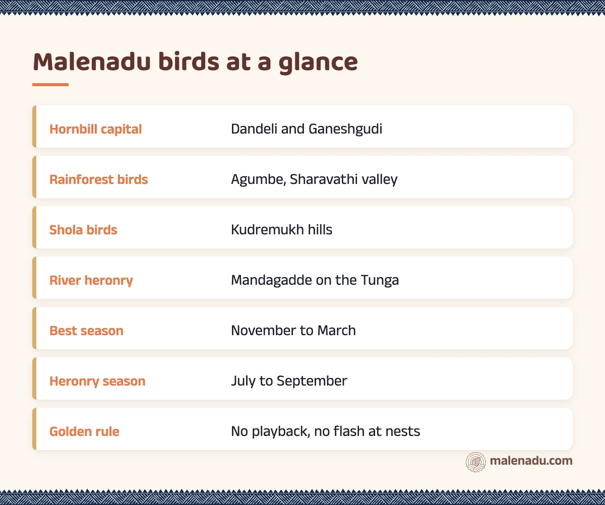 Malenadu birds at a glance: an illustrated summary card by malenadu