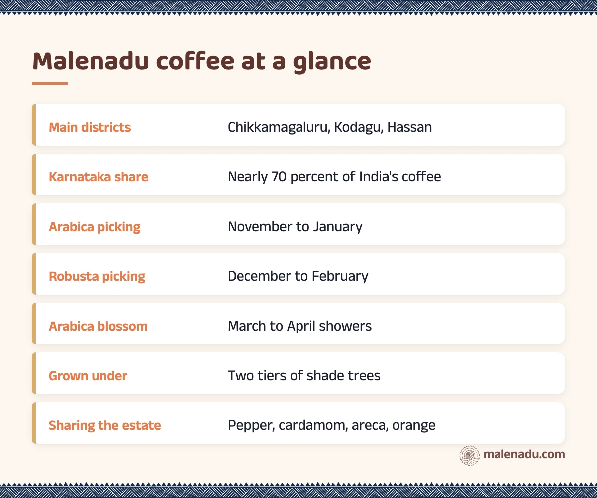 Malenadu coffee at a glance: an illustrated summary card by malenadu
