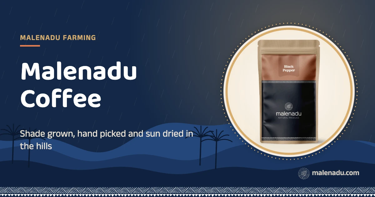 Malenadu coffee: Shade grown, hand picked and sun dried in the hills, an illustration by malenadu