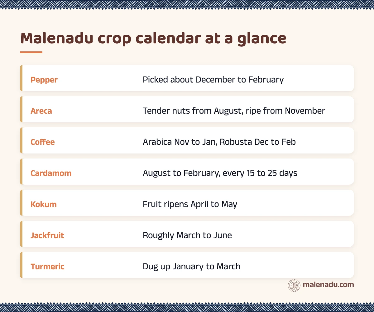 Malenadu crop calendar at a glance: an illustrated summary card by malenadu