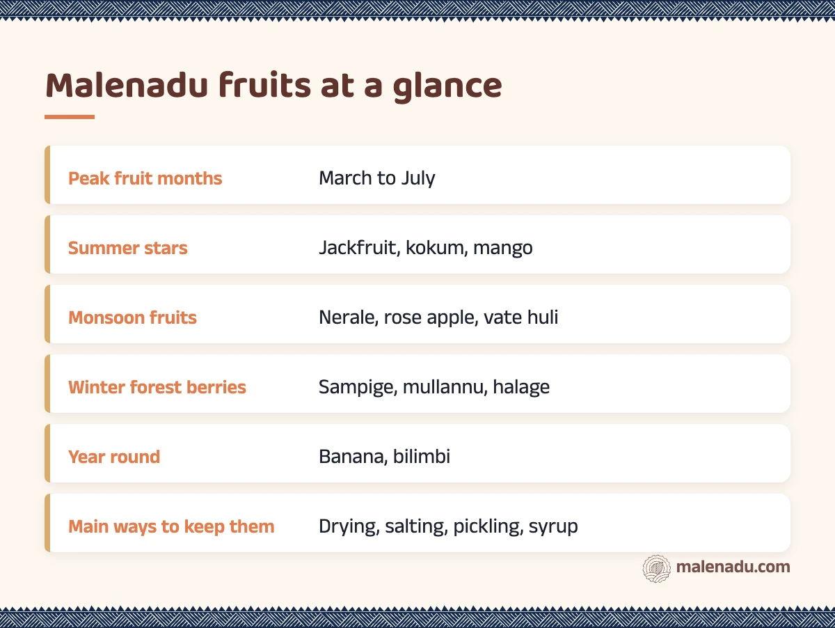 Malenadu fruits at a glance: an illustrated summary card by malenadu