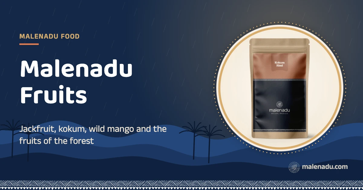 Malenadu fruits: Jackfruit, kokum, wild mango and the fruits of the forest, an illustration by malenadu