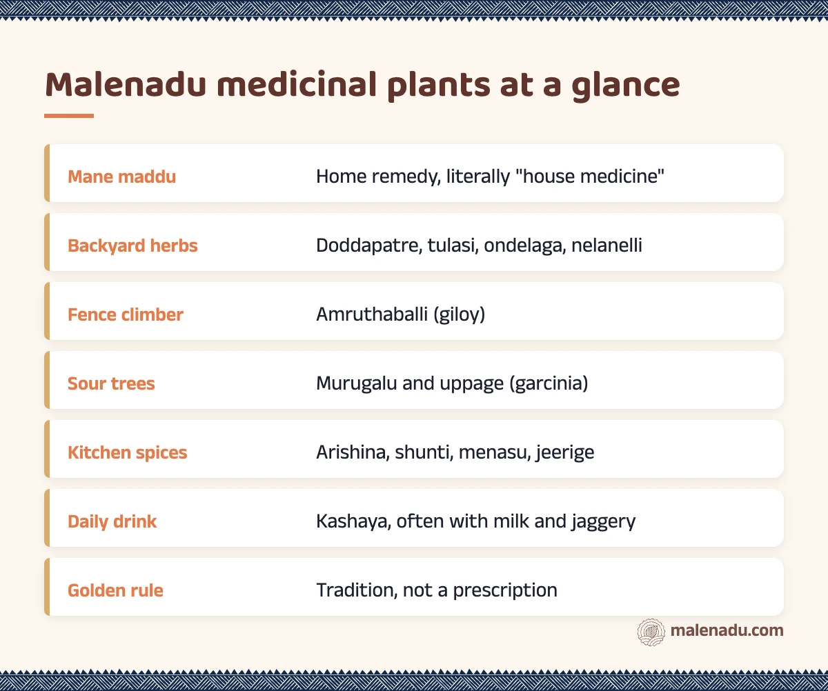 Malenadu medicinal plants at a glance: an illustrated summary card by malenadu