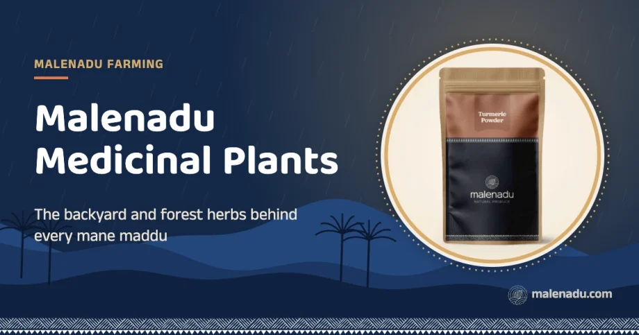 Malenadu medicinal plants: The backyard and forest herbs behind every mane maddu, an illustration by malenadu