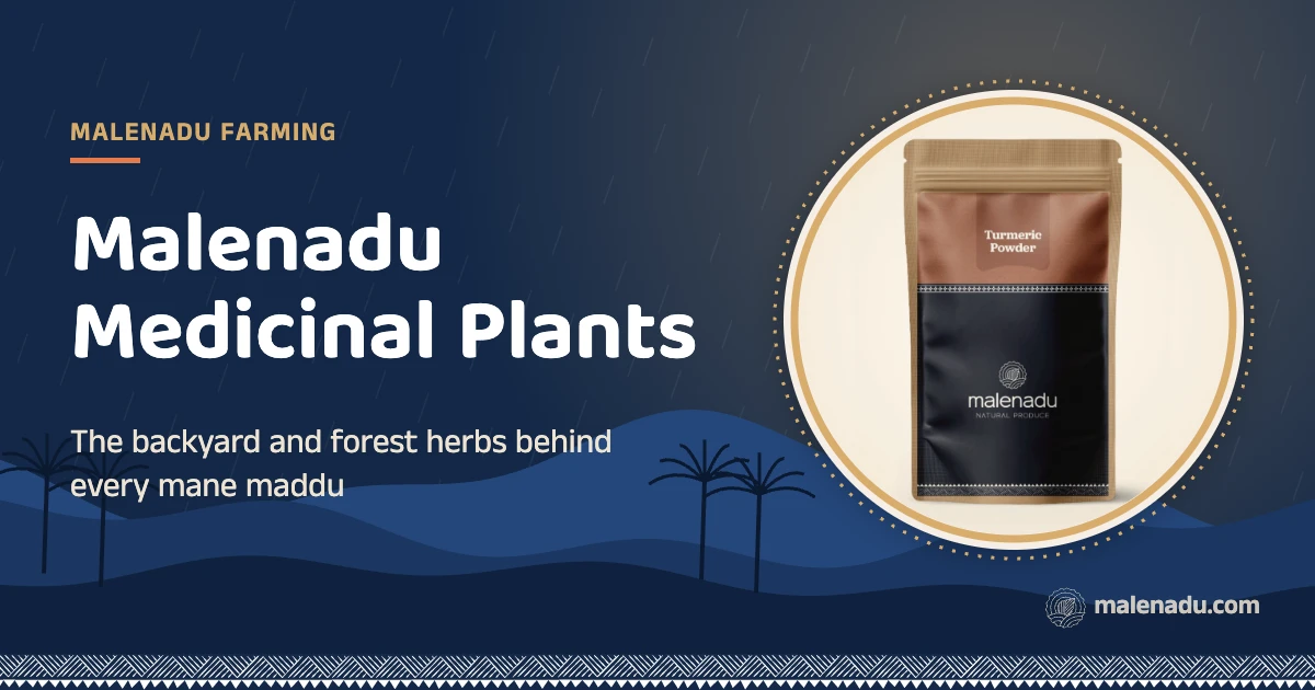 Malenadu medicinal plants: The backyard and forest herbs behind every mane maddu, an illustration by malenadu