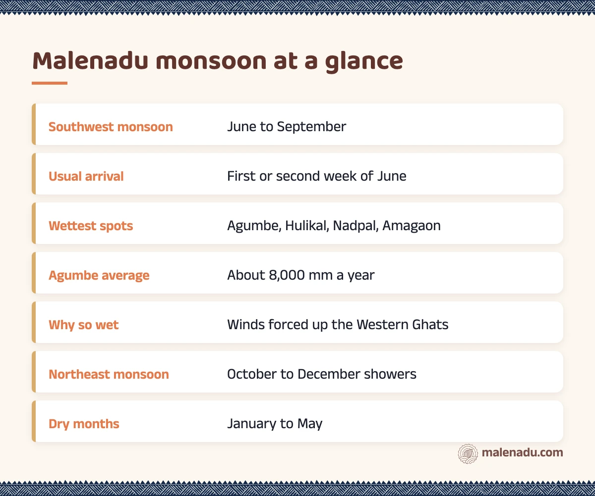 Malenadu monsoon at a glance: an illustrated summary card by malenadu