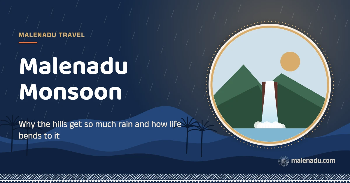 Malenadu monsoon: Why the hills get so much rain and how life bends to it, an illustration by malenadu