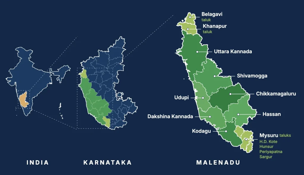 Map of Malenadu: India with Karnataka highlighted, then Karnataka with the Malenadu region, then a close-up of Uttara Kannada, Shivamogga, Chikkamagaluru, Hassan, Kodagu, Udupi and Dakshina Kannada districts with Belagavi, Khanapur and Mysuru (H.D. Kote, Hunsur, Periyapatna, Sargur) taluks