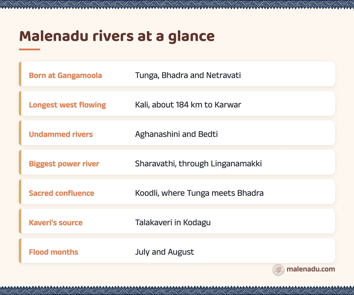 Malenadu rivers at a glance: an illustrated summary card by malenadu