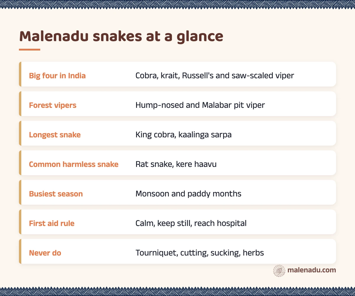 Malenadu snakes at a glance: an illustrated summary card by malenadu