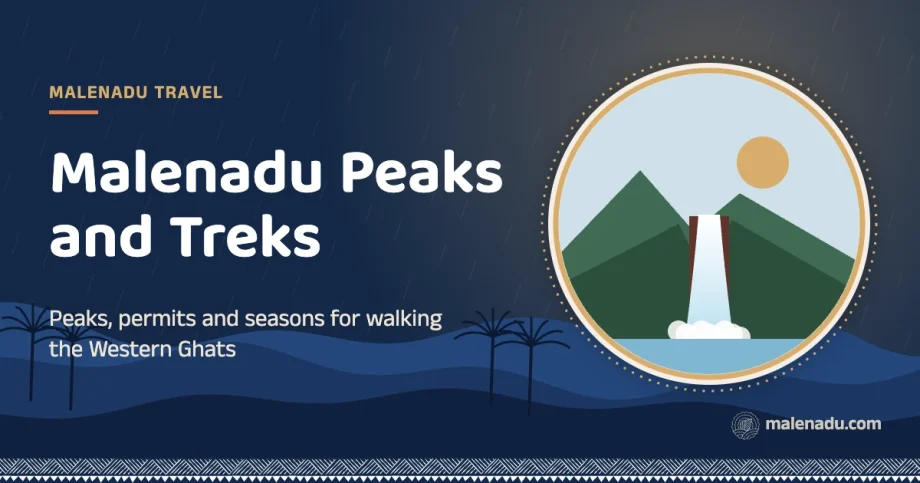 Malenadu trekking: Peaks, permits and seasons for walking the Western Ghats, an illustration by malenadu
