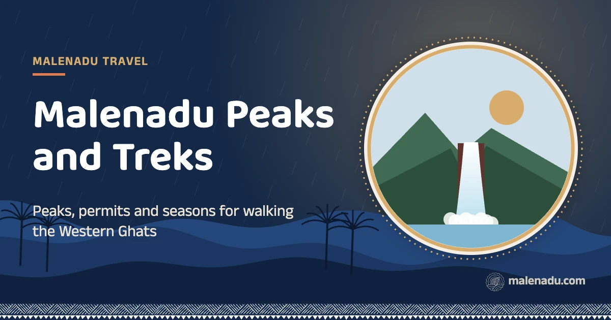 Malenadu trekking: Peaks, permits and seasons for walking the Western Ghats, an illustration by malenadu
