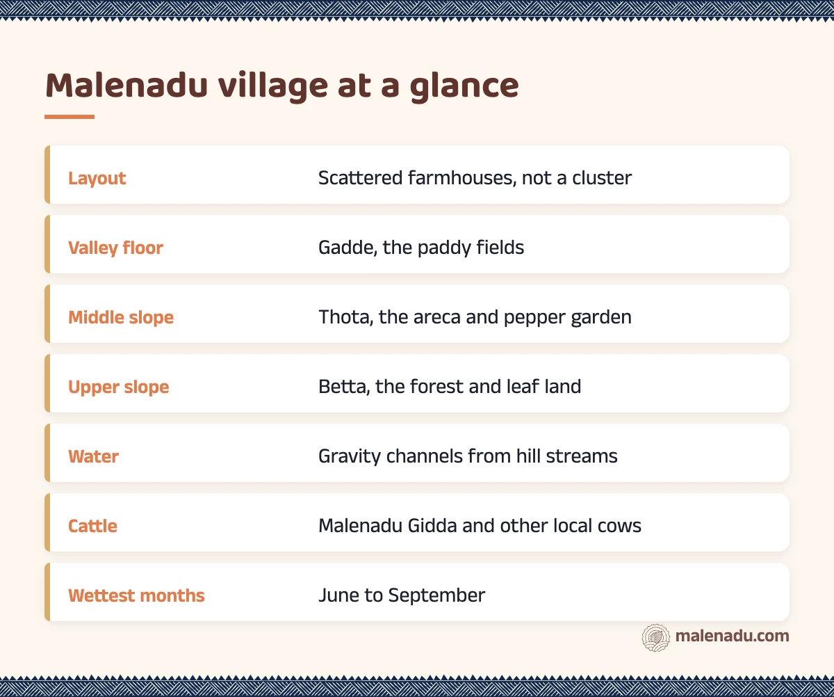 Malenadu village at a glance: an illustrated summary card by malenadu
