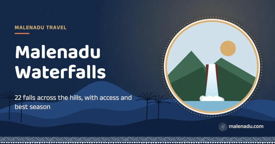 Malenadu waterfalls: 22 falls across the hills, with access and best season, an illustration by malenadu