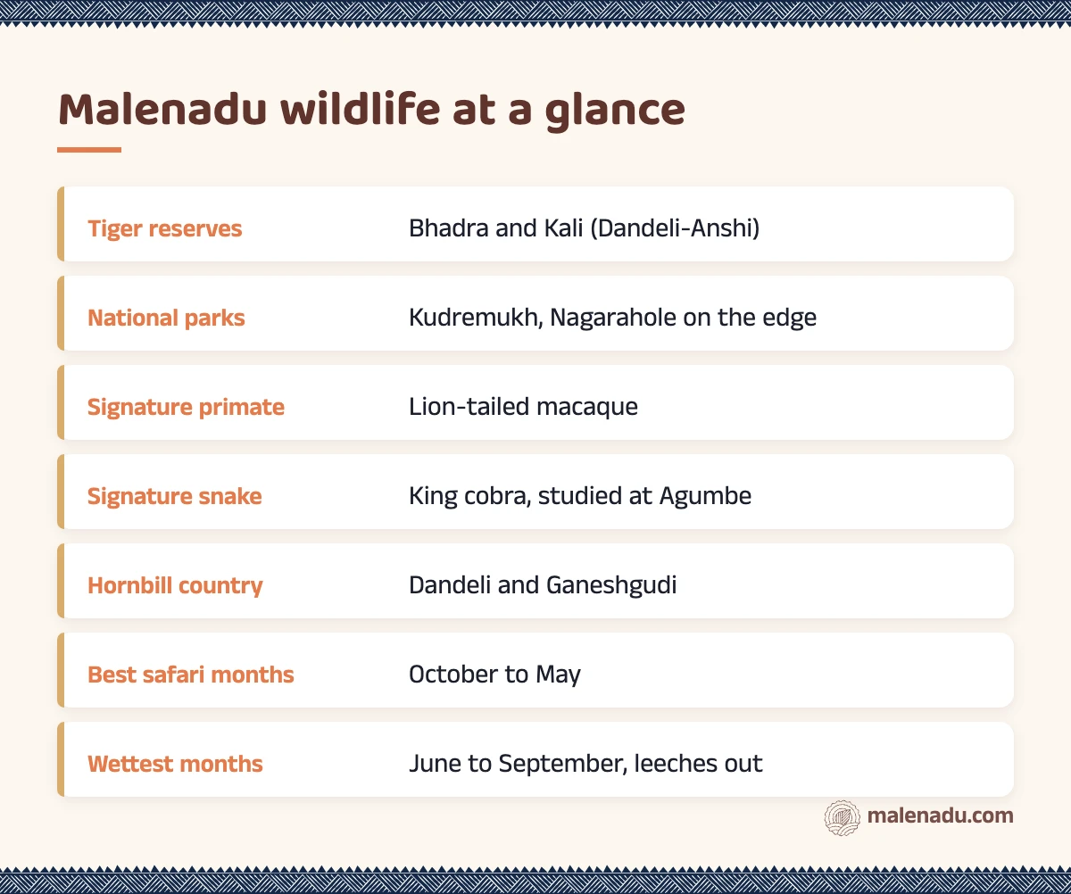 Malenadu wildlife at a glance: an illustrated summary card by malenadu