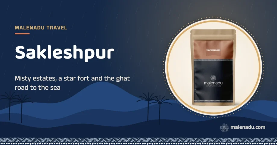 Sakleshpur: Misty estates, a star fort and the ghat road to the sea, an illustration by malenadu