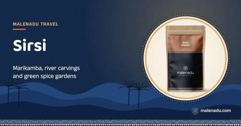 Sirsi: Marikamba, river carvings and green spice gardens, an illustration by malenadu