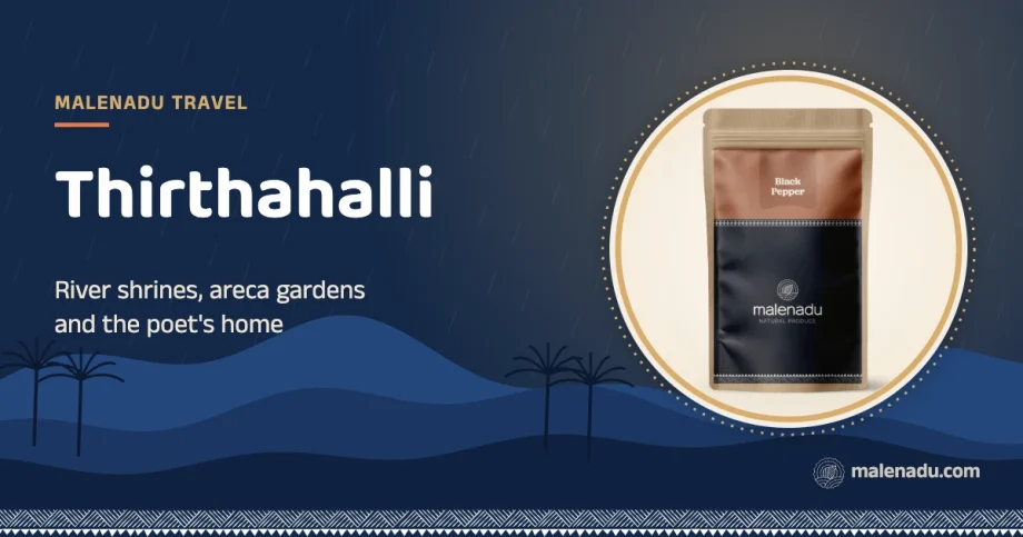 Thirthahalli: River shrines, areca gardens and the poet's home, an illustration by malenadu